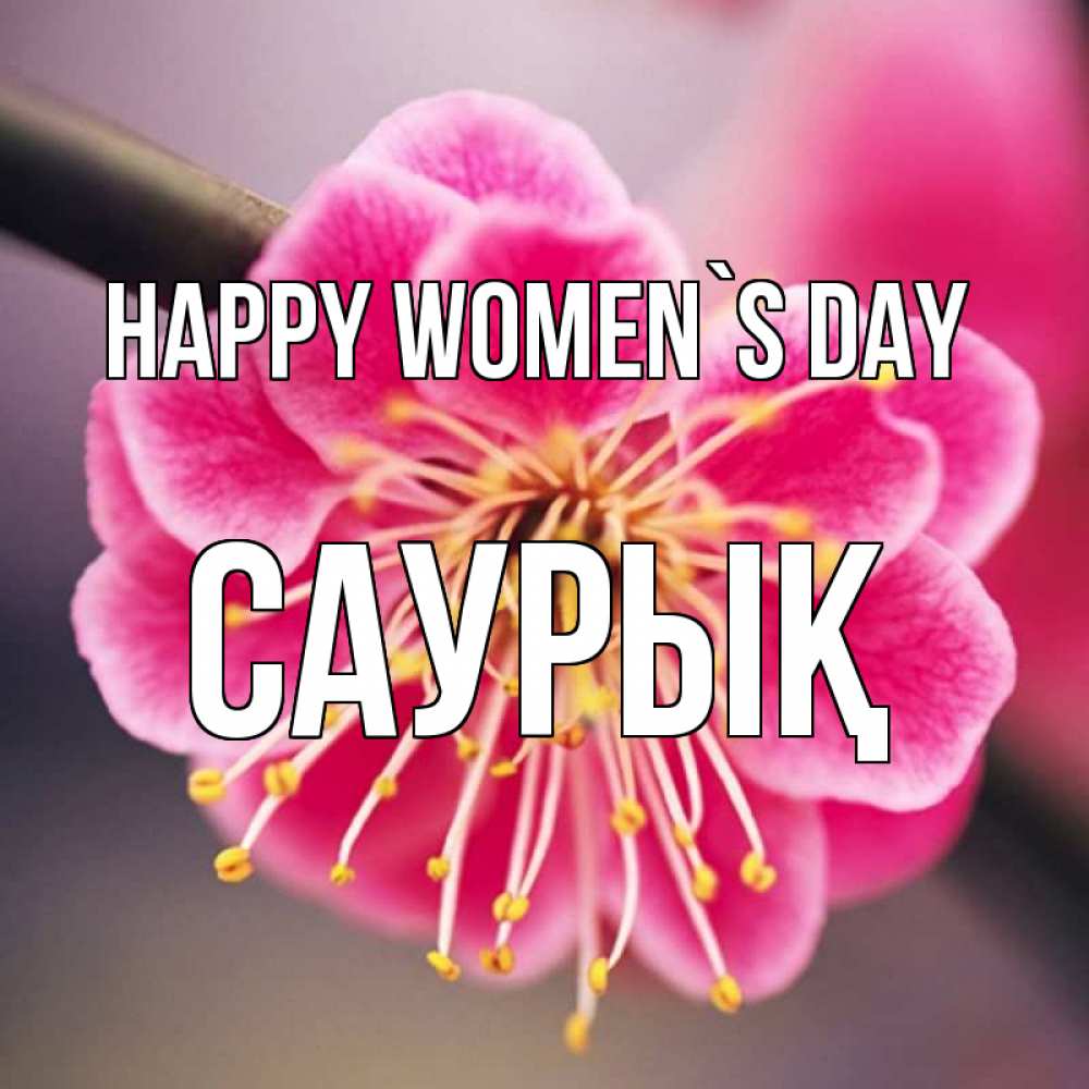 Greetings card с именем, САУРЫҚ happy women`s day цветы Greetings with text for free download 